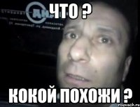 что ? кокой похожи ?