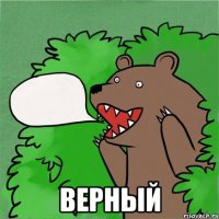  верный