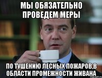 мы обязательно проведем меры по тушению лесных пожаров,в области промежности живана