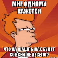 мне одному кажется что на шашлыках будет совсем не весело?