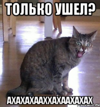только ушел? ахахахааххахаахахах