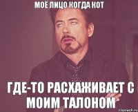 МОЁ ЛИЦО КОГДА КОТ ГДЕ-ТО РАСХАЖИВАЕТ С МОИМ ТАЛОНОМ