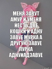 меня завут амур и уменя йесть две кошки и адну завуе мурка а другую завуе лурка аднуиадзавуе