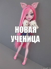 Новая Ученица