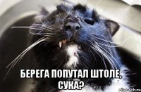  берега попутал штоле, сука?
