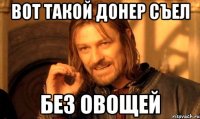 вот такой донер съел без овощей