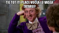 tie tot iti place vocea lu vasea tataru? 