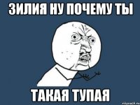 зилия ну почему ты такая тупая