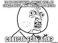 ты не разрешаешь завести кота, но скидываешь мне милости про котов совесть есть, бля?