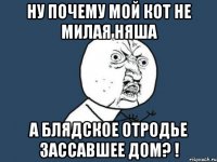 ну почему мой кот не милая няша а блядское отродье зассавшее дом? !