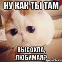 ну как ты там высохла, любимая?