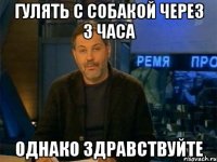 гулять с собакой через 3 часа однако здравствуйте