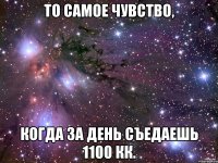 то самое чувство, когда за день съедаешь 1100 кк.