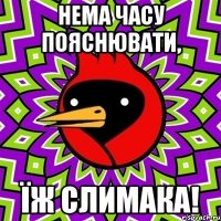 нема часу пояснювати, їж слимака!
