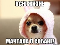 всю жизнь мачтала о собаке!