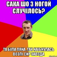 сака шо з ногой случілось? та була пяна ,так наібнулась возлі сир завода