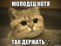 молодец котя так держать*.*