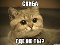 скиба где же ты?