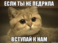 если ты не педрила вступай к нам