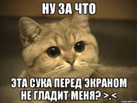 ну за что эта сука перед экраном не гладит меня? >.<