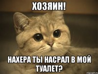 хозяин! нахера ты насрал в мой туалет?