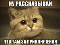 ну рассказывай что там за приключения