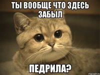 ты вообще что здесь забыл педрила?