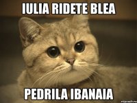 iulia ridete blea pedrila ibanaia