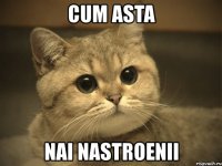 cum asta nai nastroenii