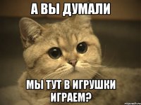 а вы думали мы тут в игрушки играем?