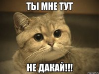 ты мне тут не дакай!!!