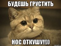 будешь грустить нос откушу!!))