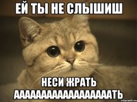 ей ты не слышиш неси жрать аааааааааааааааааать