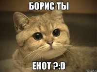 борис ты енот ?:d