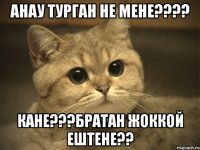 анау турган не мене??? кане???братан жоккой ештене??