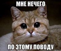 мне нечего по этому поводу