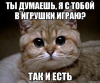 ты думаешь, я с тобой в игрушки играю? так и есть