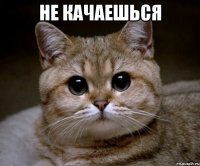 не качаешься 