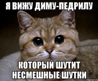 я вижу диму-педрилу который шутит несмешные шутки