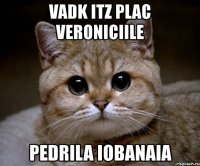 vadk itz plac veroniciile pedrila iobanaia