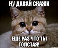 ну давай скажи еще раз что ты толстая!