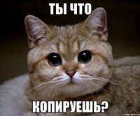 ты что копируешь?