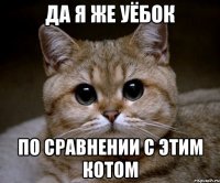 да я же уёбок по сравнении с этим котом