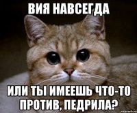 вия навсегда или ты имеешь что-то против, педрила?