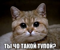  ты чо такой тупой?