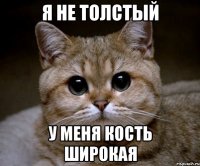 я не толстый у меня кость широкая