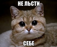 не льсти себе