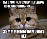 ты смотрел супер передачу коте какашка???************** ээмммммм памойму нет