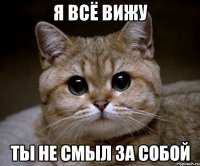 я всё вижу ты не смыл за собой