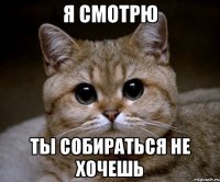 я смотрю ты собираться не хочешь